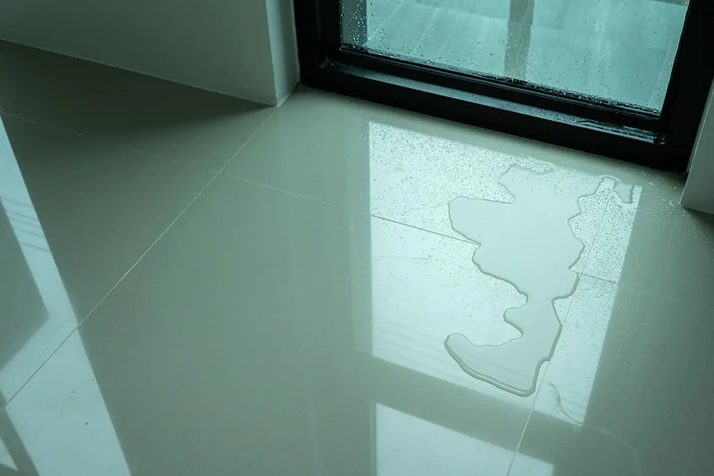 Why You Should Never Ignore Small Water Leaks in Your Home