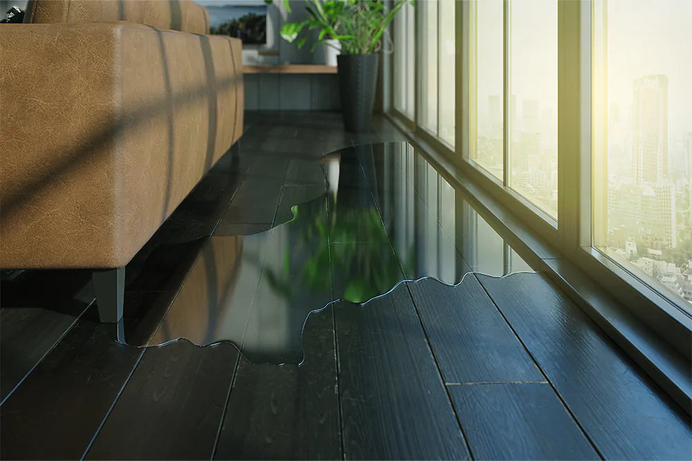 Defining, Identifying, and Understanding U.S. Water Leakages