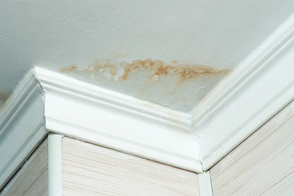 How Dangerous Are Hidden Water Leaks in the Home?